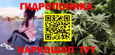 индика Берёзовский