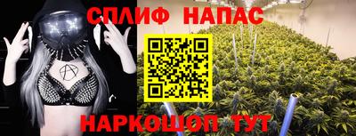 прущие крисы Гудермес