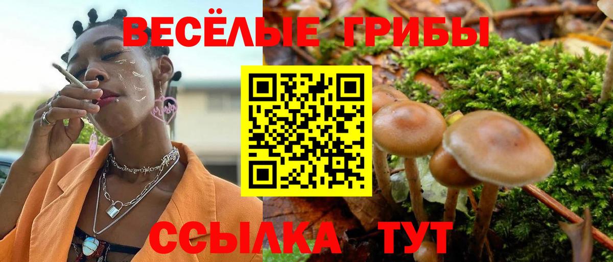 купить наркотик  Вход с VPN  Псилоцибиновые грибы мицелий  Звенигород  Псилоцибиновые грибы MAGIC MUSHROOMS 